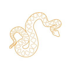 Animals Snakes Western Diamondback Rattlesnake Line Art Illustration Svg, Free Vectors File